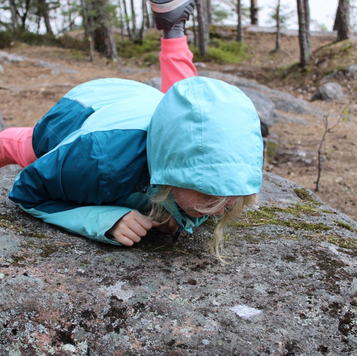 Sarvikallio, Tuusulanjärvi, Järvenpää, retkellä, Suomen luonto