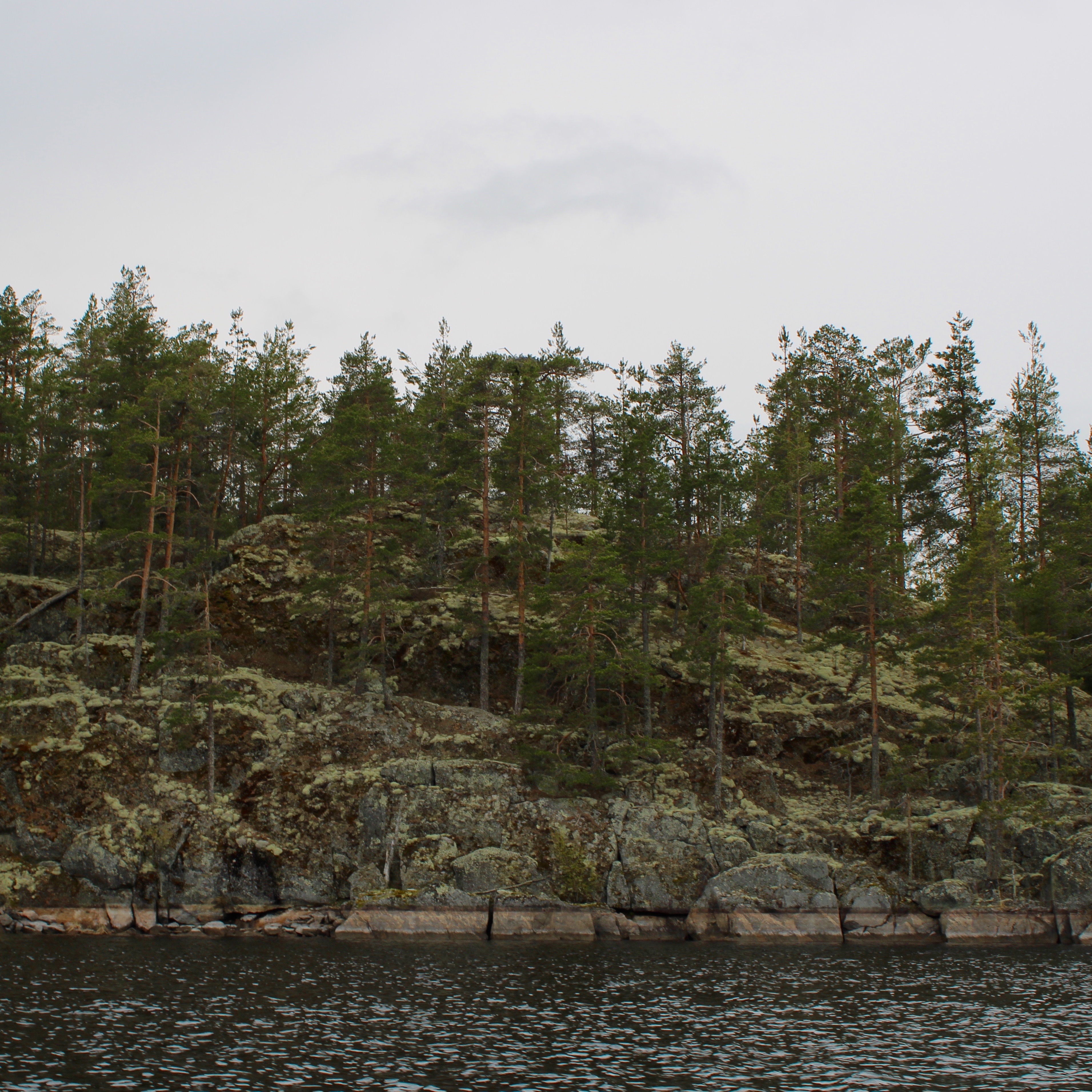 -625913165523073020_IMG_0316