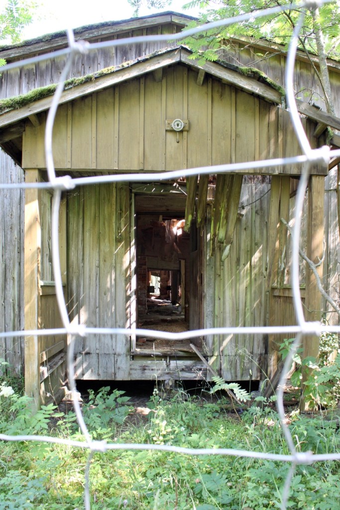 Tulliniemi, Hanko, rauniot