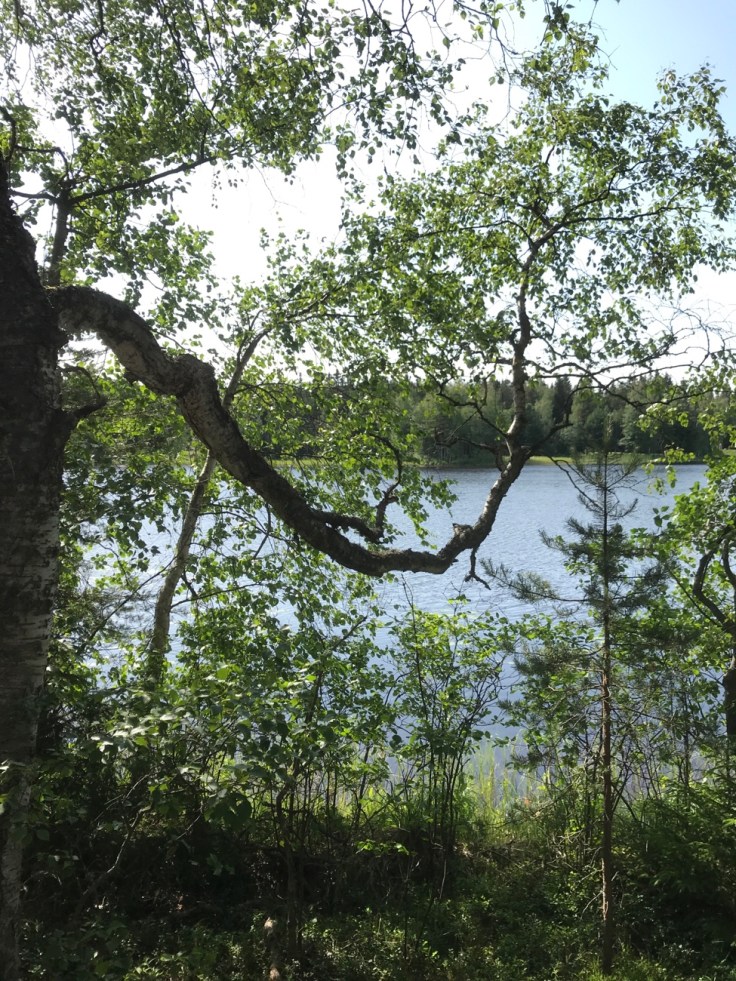 Retkellä lasten kanssa, kansallispuisto 