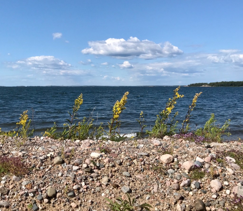 Hanko, Itämeri, luontopolku, Tulliniemi