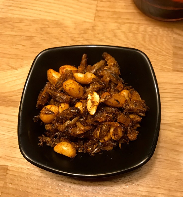 sirkat, Fat Lizard, Espoo