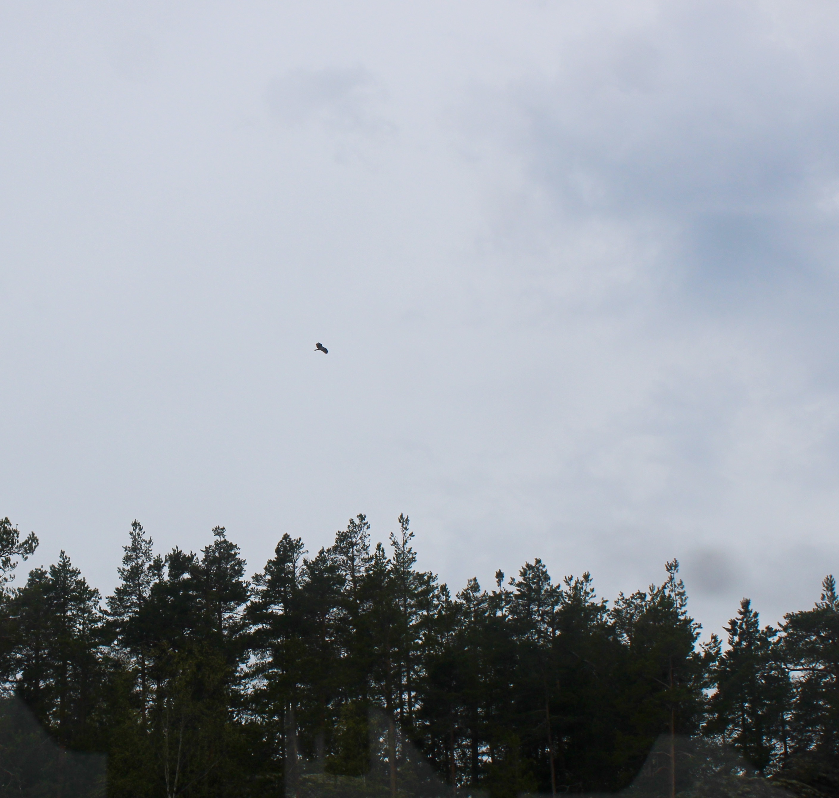 -1292495372383308320_IMG_0306